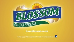 Blossom Logo